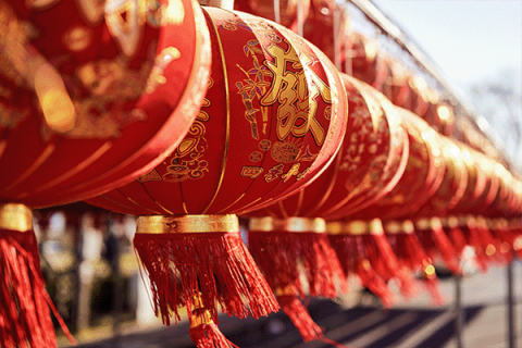 Lunar New Year Party; Saturday, February 21, 11AM-1PM; Milan Library; all ages