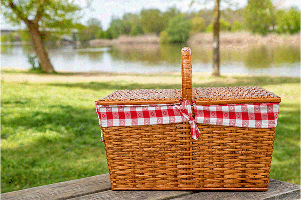 picnic basket